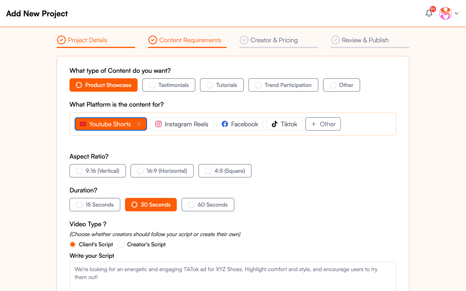 Step two of the brief: content type, platforms, aspect ratio, duration and script.